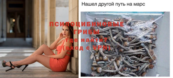 apvp Надым