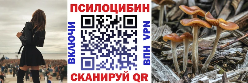 цены наркотик  Игра  МЕГА рабочий сайт  мориарти клад  Псилоцибиновые грибы Psilocybine cubensis 